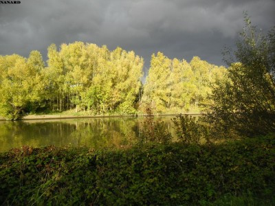 SAM_5785.JPG (190.3 Kio) Vu 4382 fois SAM_5785.JPG