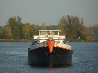 Compania-3-26-10-2015-Lith.jpg