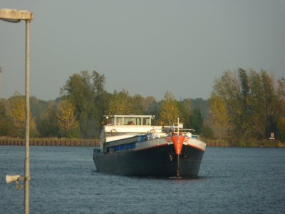 Compania-1-26-10-2015-Lith.jpg
