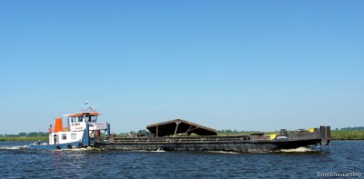 nellie-3-24-05-2012.jpg