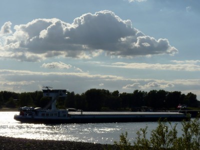 f.jpg (73.35 Kio) Vu 2078 fois f.jpg