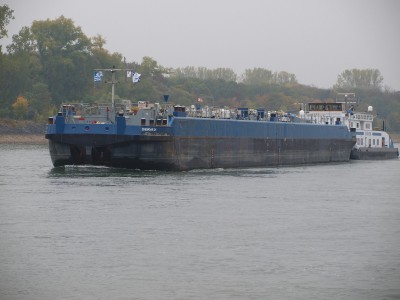 PA204479 (Copier).JPG