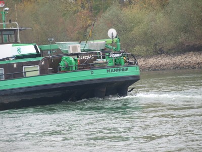 PA204506 (Copier).JPG
