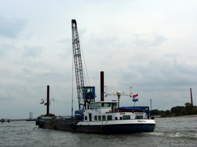 Zeus-6-21-09-2015.jpg
