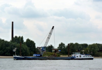 Zeus-2-21-09-2015.jpg