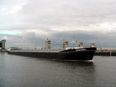 784579 (1).jpg