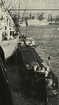 pub port Rouen revue navigation intérieure et rhénane dét (Copier).jpg (94.38 Kio) Vu 1522 fois pub port Rouen revue navigation intérieure et rhénane dét (Copier).jpg