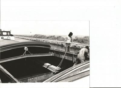 fionia onglous.jpg (100.25 Kio) Vu 7525 fois fionia onglous.jpg