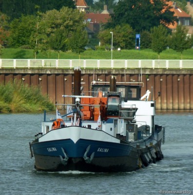 Galina-2-25-08-2015.jpg (176.25 Kio) Vu 1696 fois Galina-2-25-08-2015.jpg