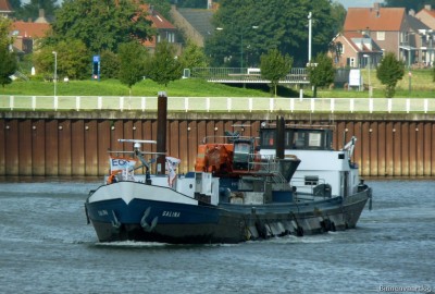 Galina-1-25-08-2015.jpg (209.62 Kio) Vu 1696 fois Galina-1-25-08-2015.jpg