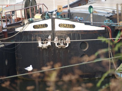 PB124775 (Copier).JPG