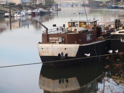 PB124772 (Copier).JPG (373.31 Kio) Vu 2896 fois PB124772 (Copier).JPG