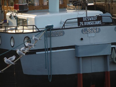 PB124755 (Copier).JPG (310.12 Kio) Vu 2333 fois PB124755 (Copier).JPG