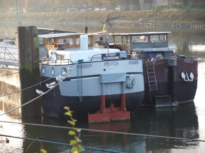 PB124754 (Copier).JPG (432.44 Kio) Vu 2332 fois PB124754 (Copier).JPG