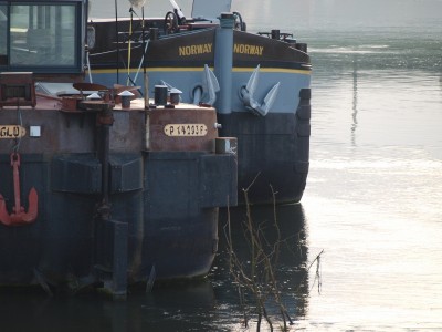 PB124742 (Copier).JPG