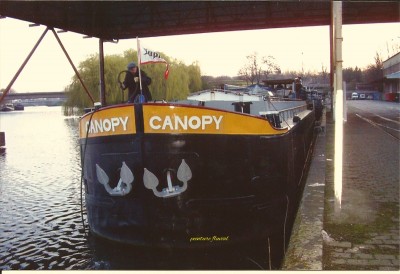 40_Fotor (800x547).jpg (264.3 Kio) Vu 2507 fois 40_Fotor (800x547).jpg