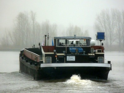 Brutus-7-01-12-2015-Lith.jpg