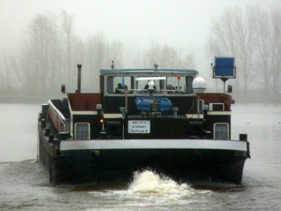Brutus-6-01-12-2015-Lith.jpg