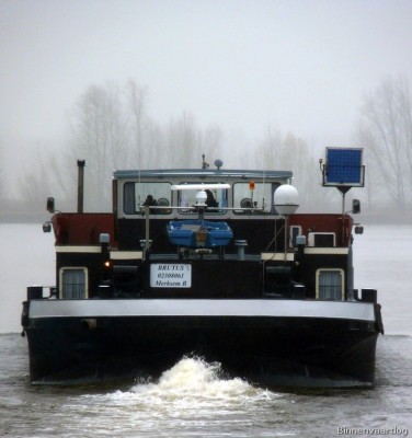 Brutus-5-01-12-2015-Lith.jpg