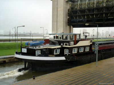 Brutus-4-01-12-2015-Lith.jpg