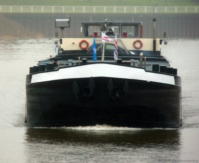 Brutus-3-01-12-2015-Lith.jpg