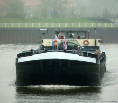 Brutus-2-01-12-2015-Lith.jpg
