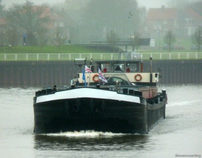 Brutus-1-01-12-2015-Lith.jpg