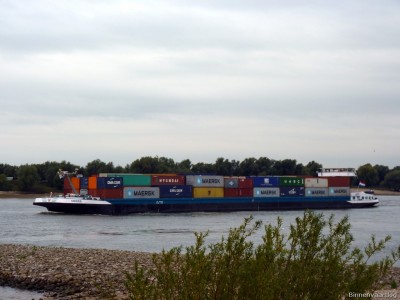Crigee-2-24-09-2015-Oosterhout.jpg