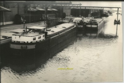 24_Fotor (2).jpg (181.03 Kio) Vu 2051 fois 24_Fotor (2).jpg