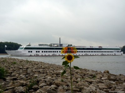 De Zonnebloem-2-25-09-2015-Oosterhout.jpg (180.35 Kio) Vu 2263 fois De Zonnebloem-2-25-09-2015-Oosterhout.jpg