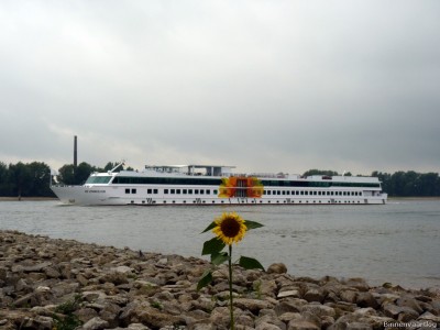 De Zonnebloem-1-25-09-2015-Oosterhout.jpg (156.02 Kio) Vu 2254 fois De Zonnebloem-1-25-09-2015-Oosterhout.jpg