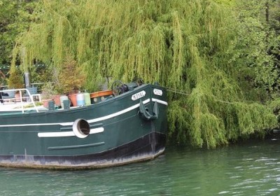 royal actuel 2.jpg (71.02 Kio) Vu 4462 fois royal actuel 2.jpg