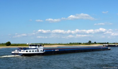 Dezi-3-08-08-2015-Druten.jpg
