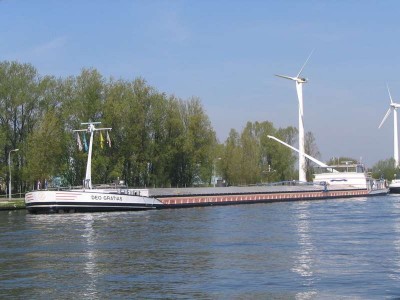 401509.jpg