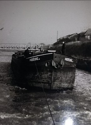 hoedic.JPG (56.47 Kio) Vu 4394 fois hoedic.JPG