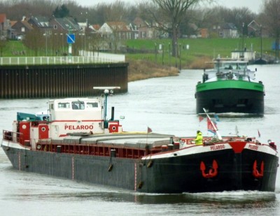Pelaroo-2-05-01-2016.jpg