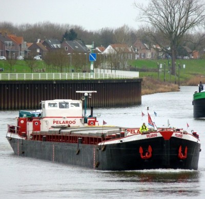 Pelaroo-1-05-01-2016.jpg (127.96 Kio) Vu 1399 fois Pelaroo-1-05-01-2016.jpg