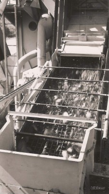 9 - CNR 2 - août 1952 - Donzère - Essais de la drague CNR 2 - criblage des matériaux (Copier).jpg (151.97 Kio) Vu 3628 fois 9 - CNR 2 - août 1952 - Donzère - Essais de la drague CNR 2 - criblage des matériaux (Copier).jpg