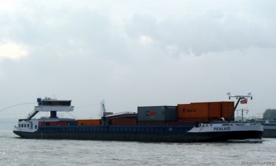 Pealko-2-25-09-2015.jpg