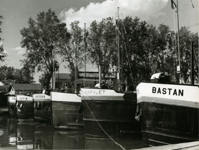 Tir goupé bibliothèque Toulouse année 1960.PNG