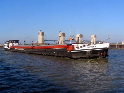 Corma-1.jpg