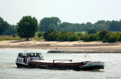 Corma-1-08-08-2015-Druten.jpg