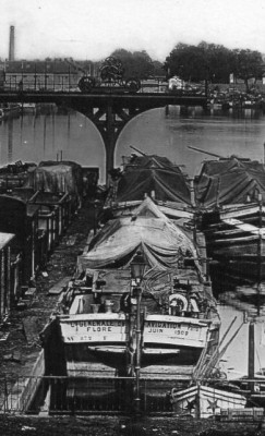 flore-roanne-extCP-cim.jpg (68.07 Kio) Vu 1387 fois flore-roanne-extCP-cim.jpg