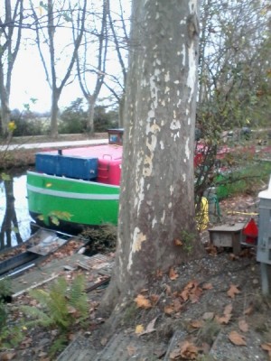 IMG_20151114_164219 (Copier).jpg (93.45 Kio) Vu 1685 fois IMG_20151114_164219 (Copier).jpg