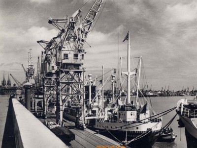 Alcyon Bordeaux.jpg (155.75 Kio) Vu 5271 fois Alcyon Bordeaux.jpg