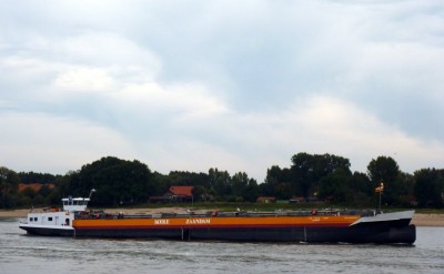 Volharding-7-1-21-09-2015-Oosterhout.jpg