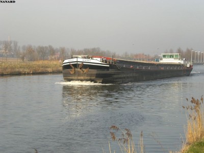CIMG2331.JPG