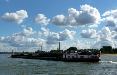 Orava-3-26-09-2015-Oosterhout.jpg (133.48 Kio) Vu 1187 fois Orava-3-26-09-2015-Oosterhout.jpg