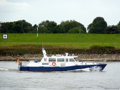 WSP-7-2-27-08-2015.jpg