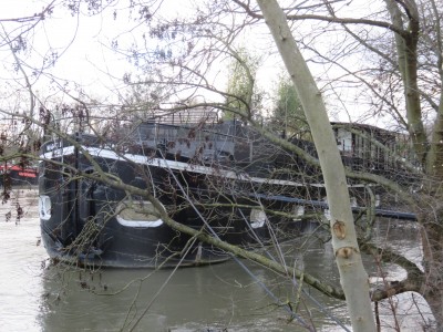 manou-av.JPG (1.23 Mio) Vu 3159 fois manou-av.JPG